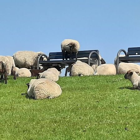 Njoerd Villa Norden Dış mekan fotoğraf